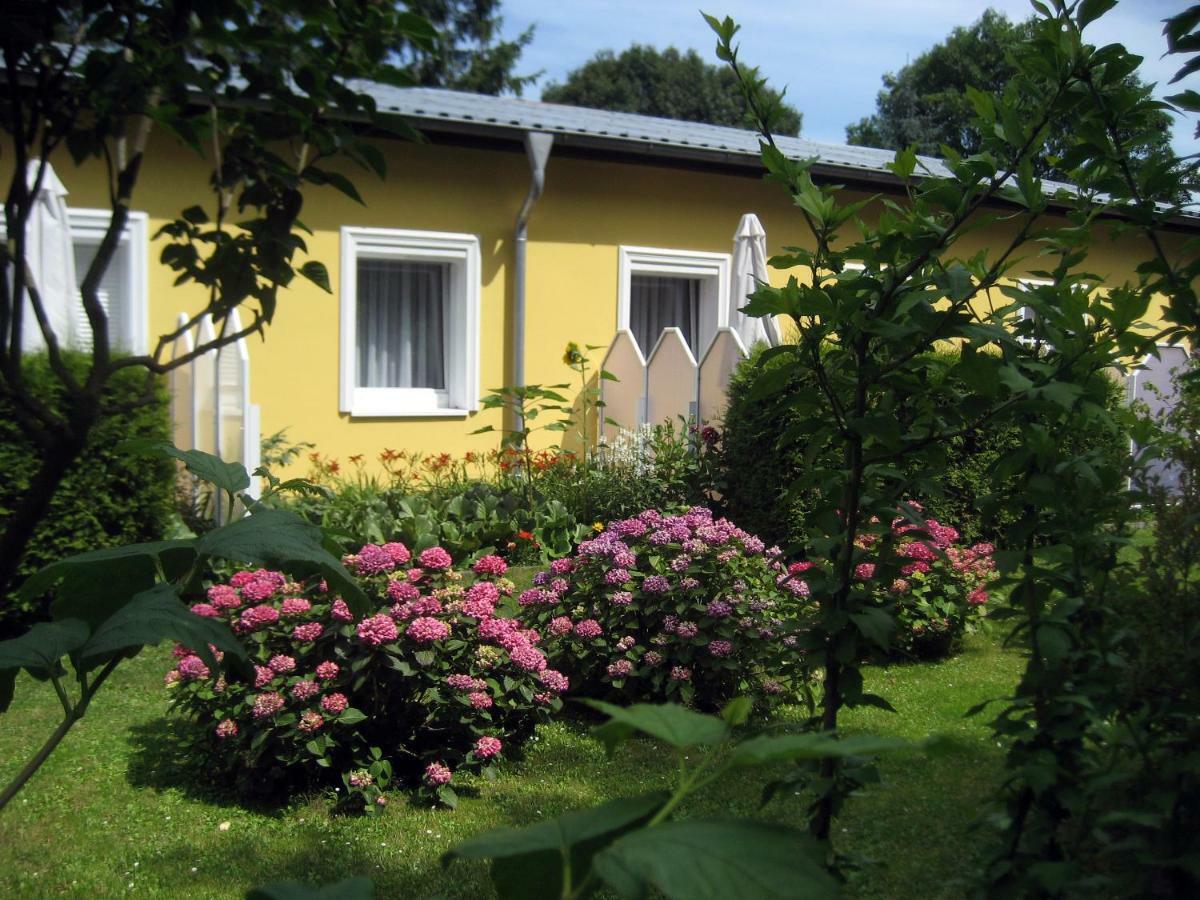 شقة Haus Am Wald هيرينجسدورف المظهر الخارجي الصورة